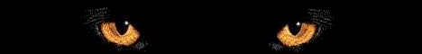 2468 диета